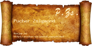 Pucher Zsigmond névjegykártya